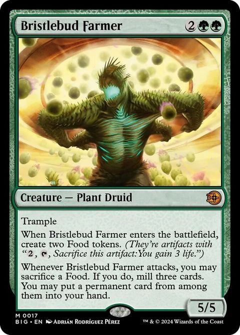 17-bristlebudfarmer