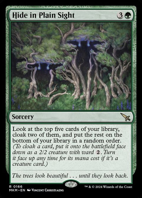 166-hideinplainsight