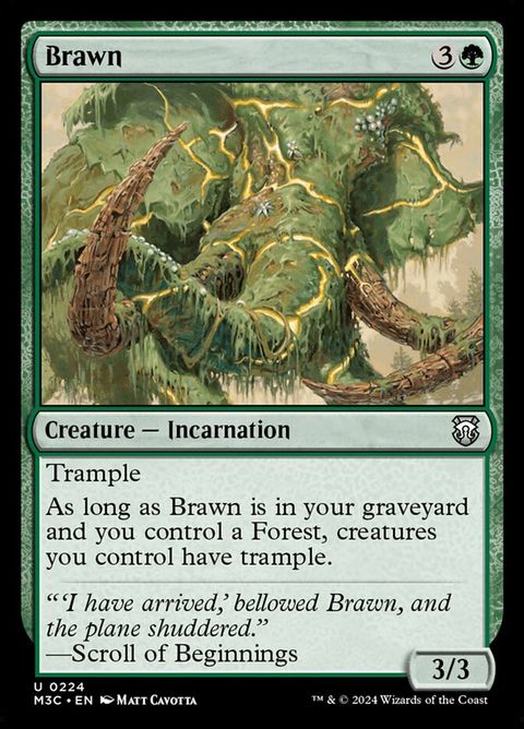 224-brawn