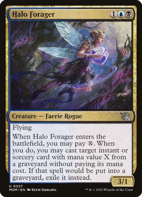 227-haloforager